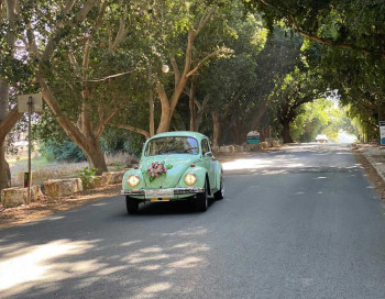 Volkswagen Beetle 1974